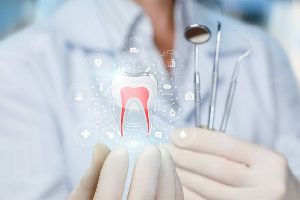 Best Periodontal (Gum) Disease Treatment  in Burnettown, SC